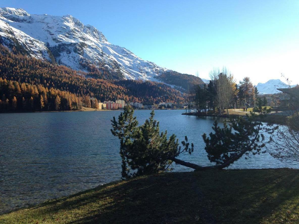Free Hugs Hotel Mazzo di Valtellina Bagian luar foto